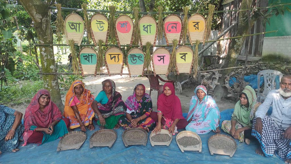 হরিরামপুর চরাঞ্চলে আউশ ধানের খাদ্য উৎসব ২০২৫: প্রাকৃতিক দুর্যোগ মোকাবেলায় কৃষকের নিরাপদ খাদ্য উদ্যোগ
