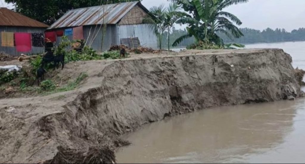 কুড়িগ্রামের রৌমারীতে ব্রহ্মপুত্র নদের ভাঙনে গৃহহীন পরিবারগুলোর দুর্দশা