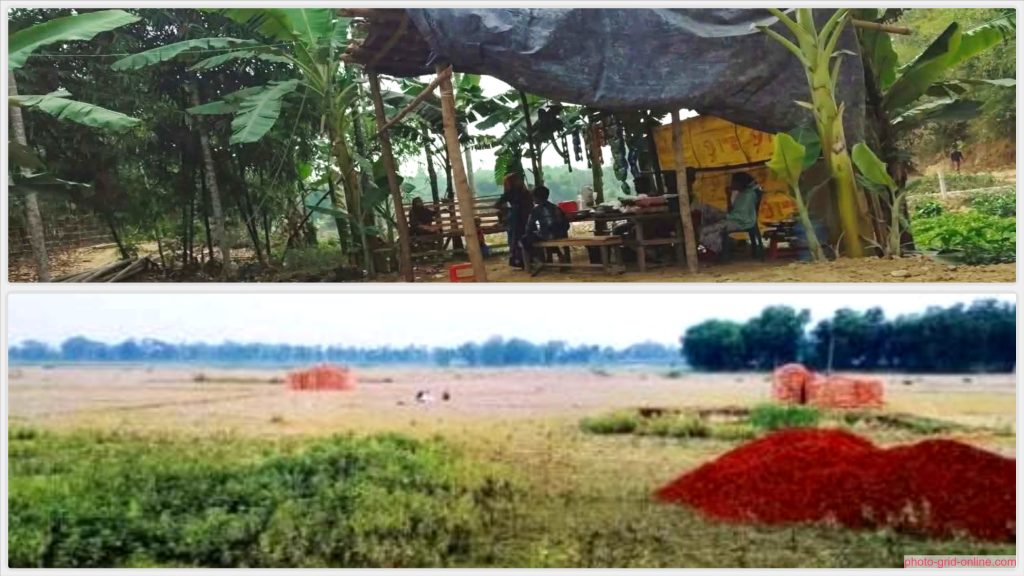 চকরিয়া বরইতলী ইউনিয়নে জমি দখল নিয়ে উত্তেজনা ও থানায় অভিযোগ
